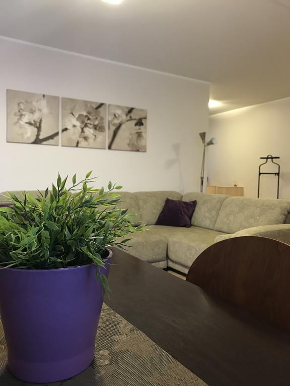 Ferienwohnung Saulys1 Druskininkai Exterior foto